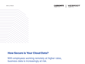 WEBROOT Working Remotely: How Secure is Your Cloud Data?