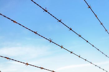 Why Data Security is Important for Every Business 