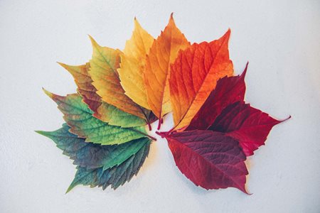 The 4 Stages of Asset Lifecycle Management