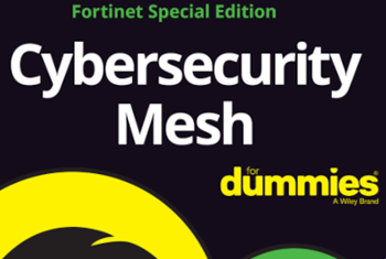 Blue Cube Security Cybersecurity Mesh for Dummies