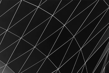 The 4 Principles of Analytic Process Automation