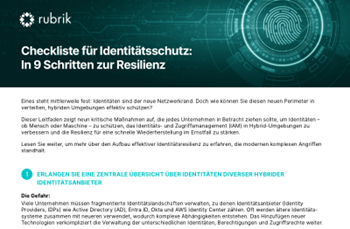 Rubrik-Checkliste für Identitätsschutz: In 9 Schritten zur Resilienz