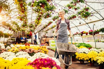 What is Financial Wellness (And Why is it Important)?