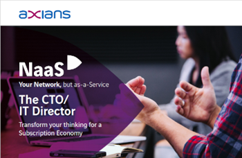 The CTO/IT Director