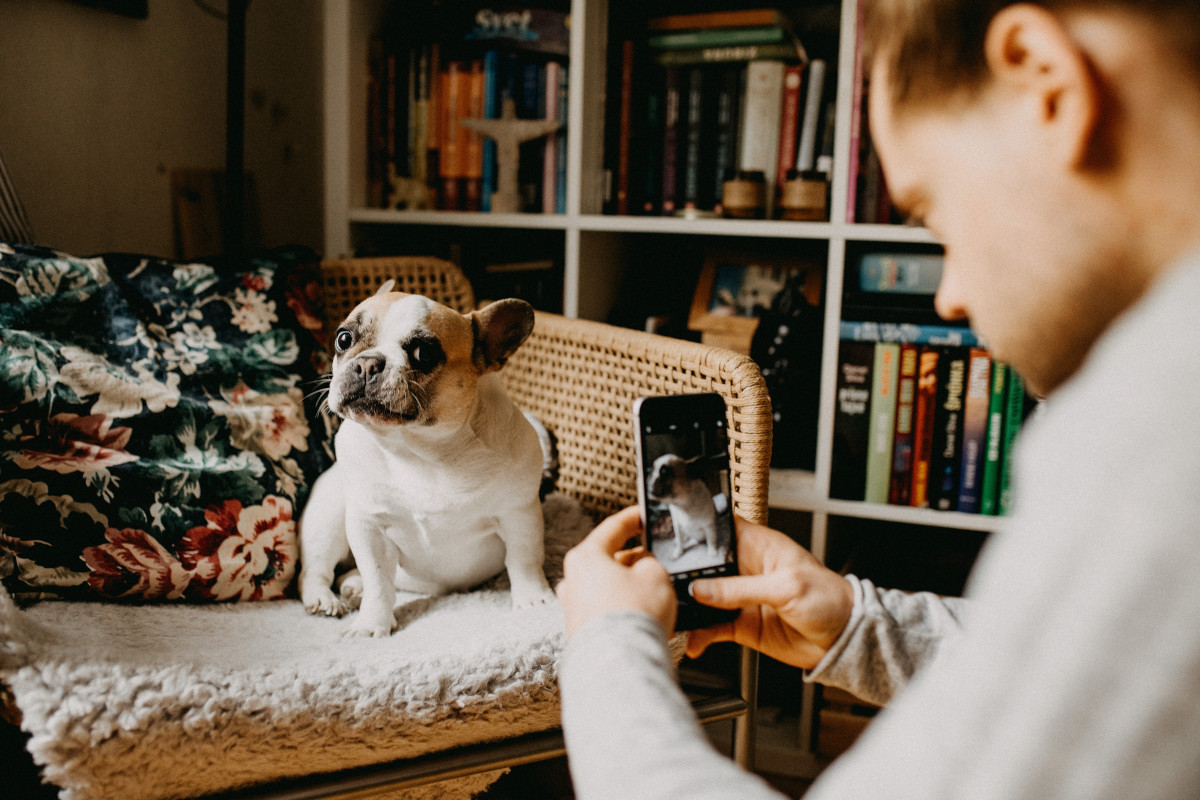 6 Influencer Marketing Trends and Best Practices for 2022