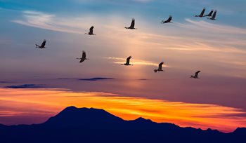 What Are Flight-Risk Employees and How Do You Spot
