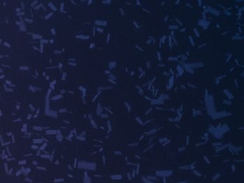 Alteryx Data Innovators in Finance, Tax, and Audit