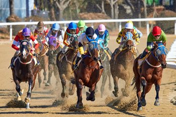 Python vs. Java: Why It's Not Just a Two Horse Race