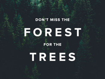 Allocadia ROI V Attribution: Don’t Miss the Forest for the Trees
