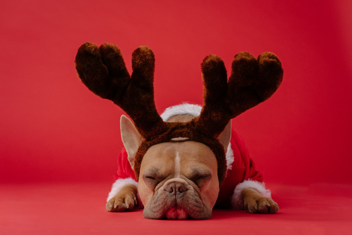 16 Ways to Boost Your eCommerce Sales During the Holidays