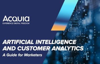 Artificial Intelligence and Customer Analytics