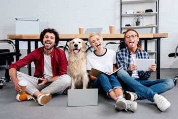 11 Questions You Need to Ask to Create a Pet-Friendly Workplace
