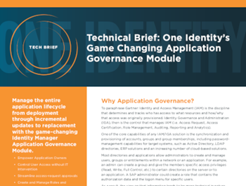 One Identity Technical Brief: One Identitys Game Changing Application Governance Module