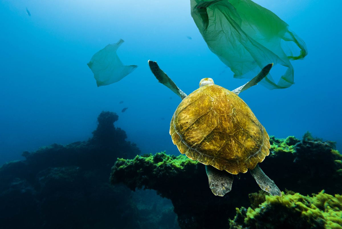 Your Signage Choice Could Save the Planet