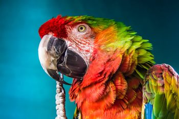 How to Use Color in Your Business Technology to Promote Employee Productivity