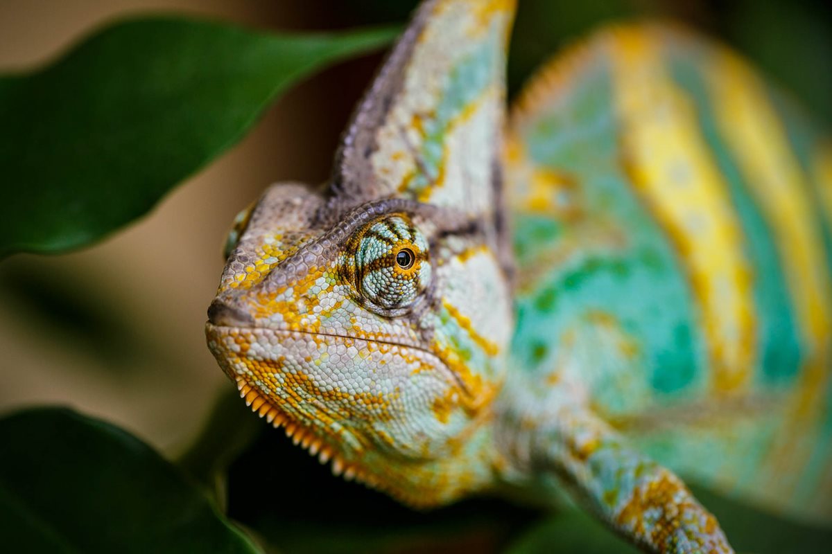 The Do’s and Don’ts of Organizational Change [Info