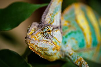 The Do’s and Don’ts of Organizational Change [Info