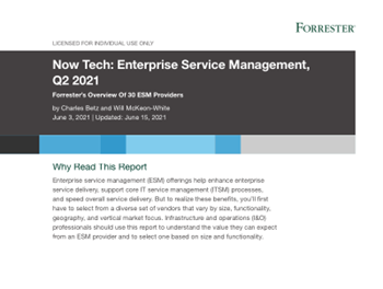 USU Software Forrester NowTech Report