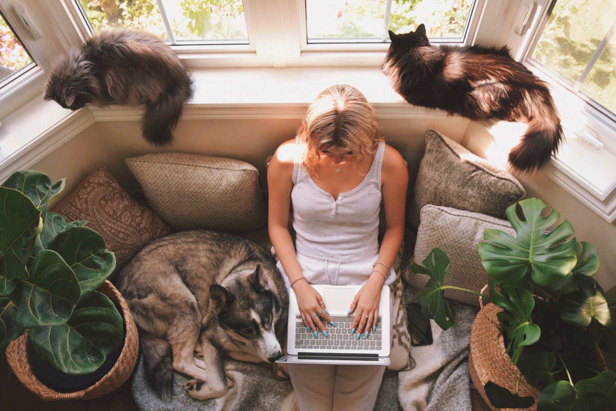 How to Automate Your Content Marketing Effectively