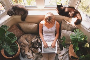 How to Automate Your Content Marketing Effectively