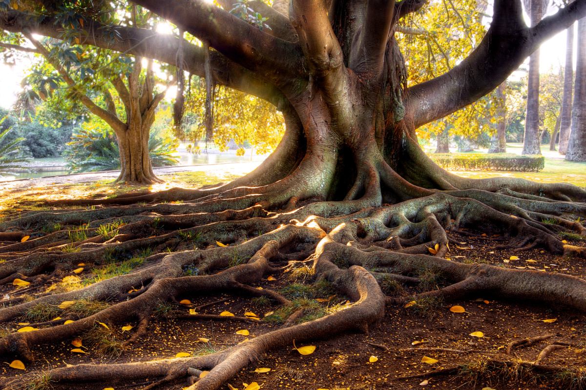 The 5 Whys of Root Cause Analysis and How They Can Benefit Your Business