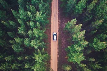 4 Things Customers Want in a Digital Journey