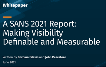 Rapid7 SANS Visibility Report