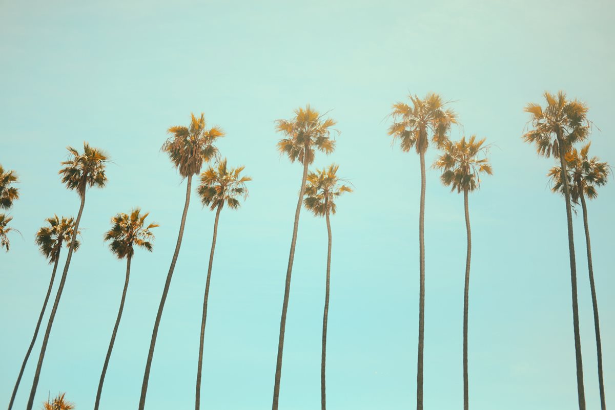 How to Improve Your Staff Holiday Planning (And Why You Should Care)