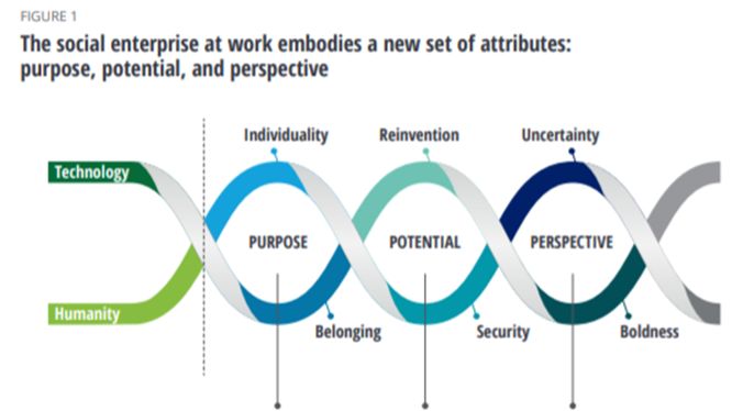 Deloitte image of attributes that make up the social enterprise