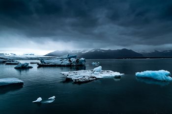 Why Businesses Should Prioritize Environmental Risk Management