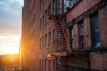 The Ladder vs. the Lattice: Which Career Path Should You Follow?