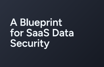 Own The Blueprint for SaaS Data Security