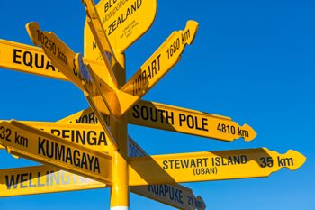 Navigating the World of Online Advertising: Which Platforms Are Right for Your Business?