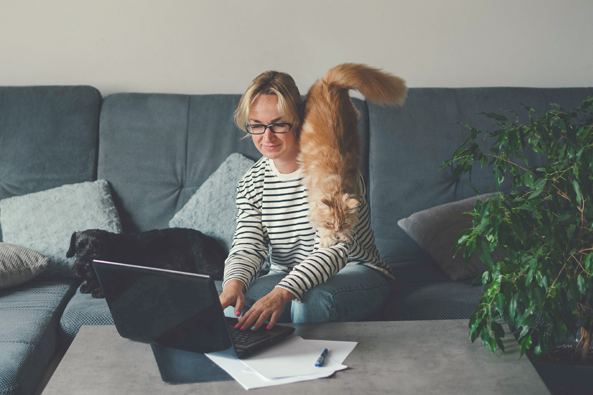 7 Ways to Improve Employee Engagement for Remote Teams