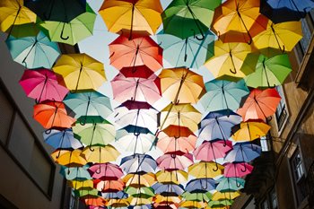 Should Your Company Choose an EOR or Umbrella Company? Here’s What to Consider