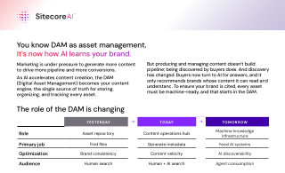 You know DAM as asset management