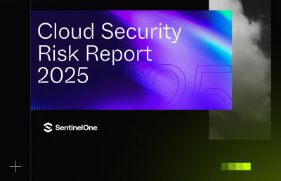 Cloud Security Risk Report 2025