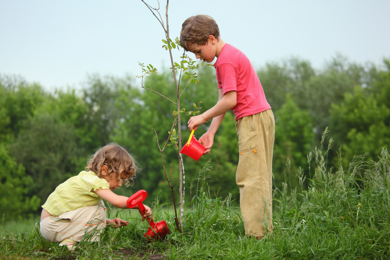 5 Ways to Grow Your Email List
