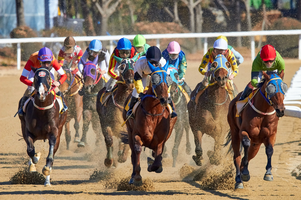 Python vs. Java: Why It's Not Just a Two Horse Race