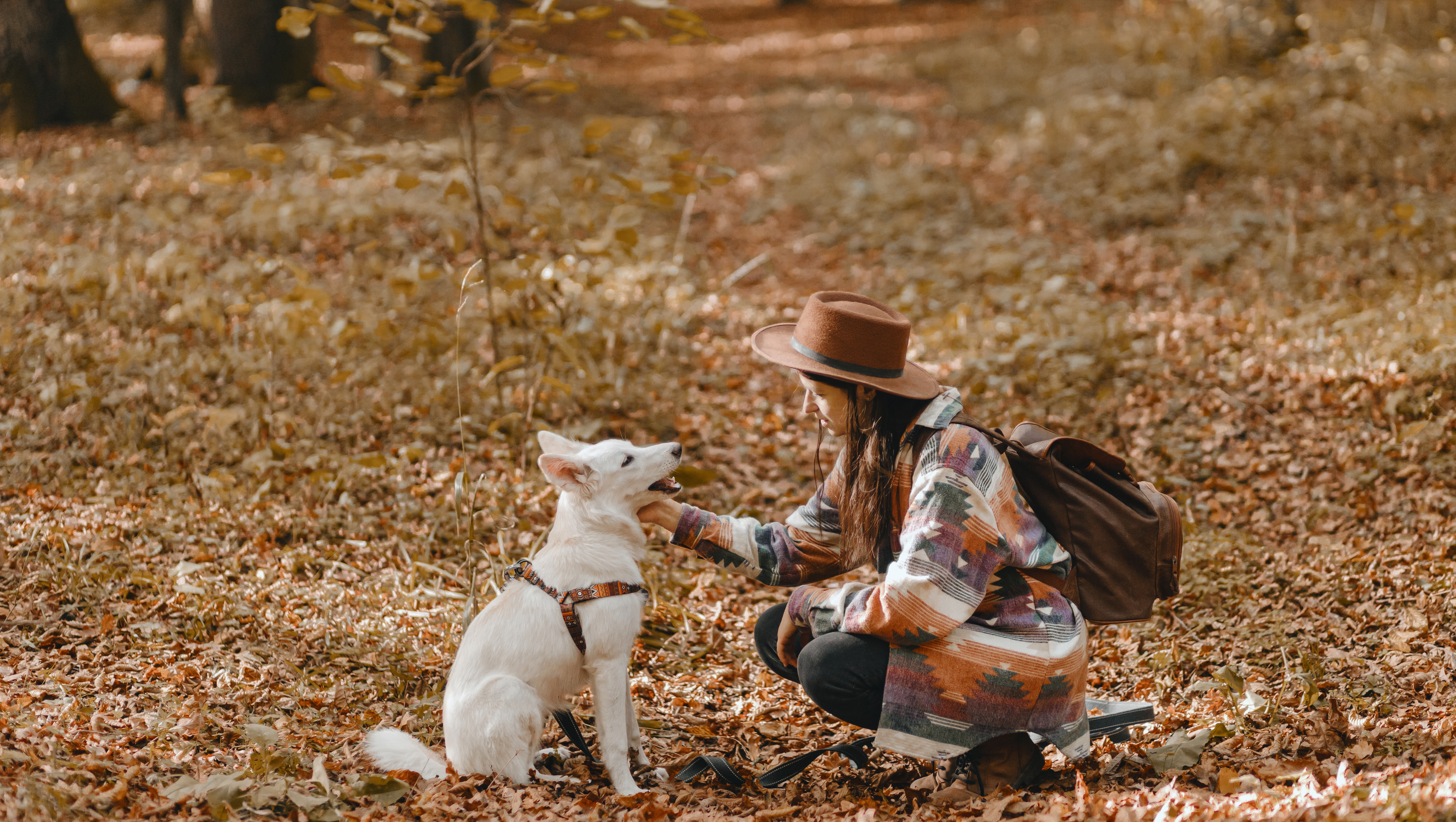 Your Customer Loyalty Mastersheet: Everything You Need to Maximize Retention