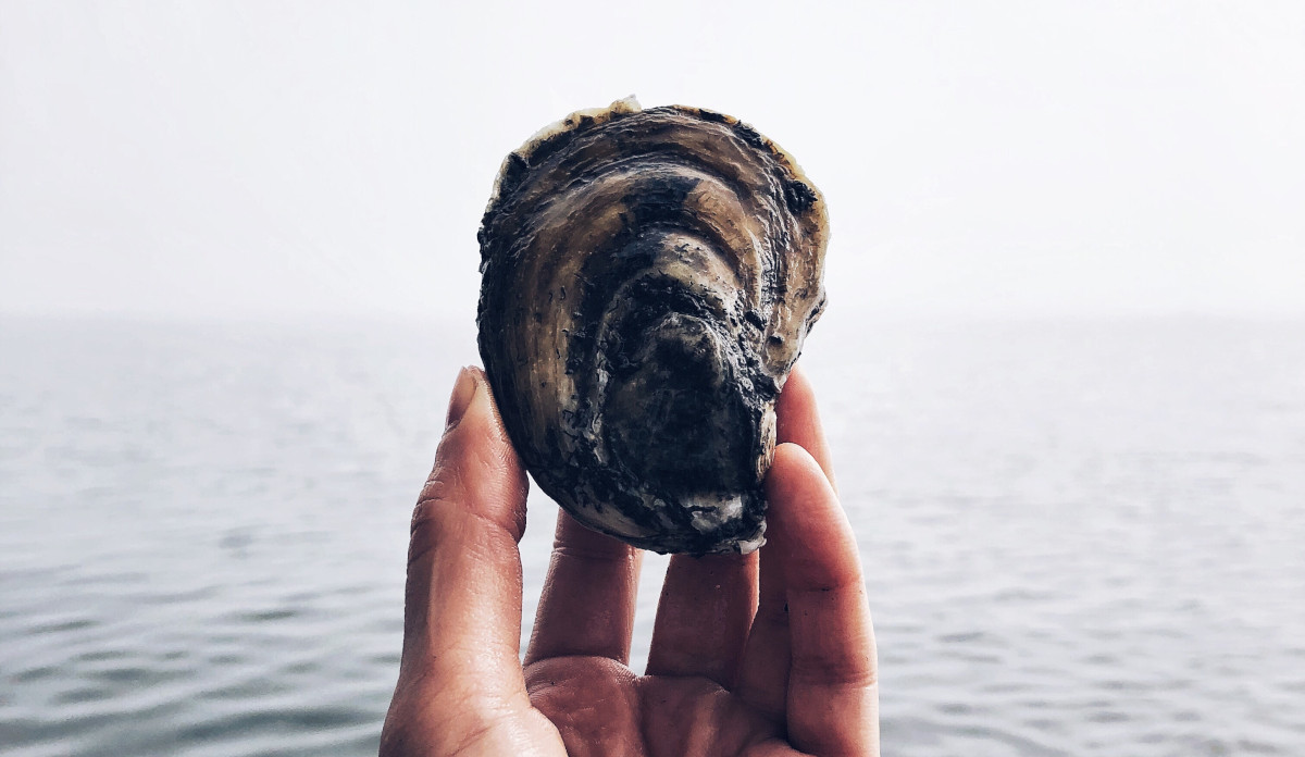 The World is Your Oyster: How to Build Successful International Teams