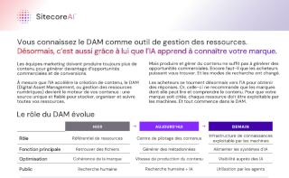 Vous connaissez le DAM comme gestion des assets