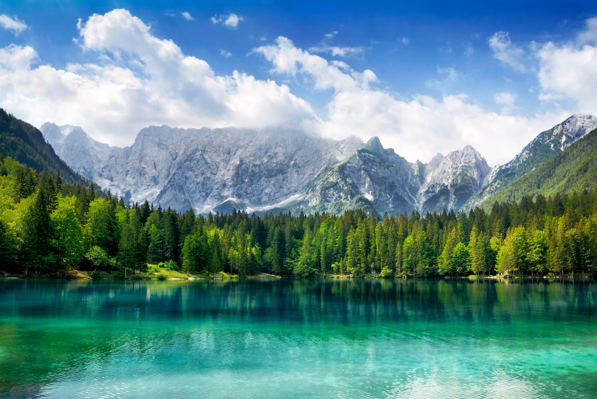 Data Warehouse vs Data Lake: Which is Right for You?
