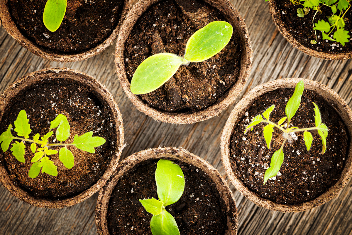 The Dos and Don’ts of Successful Lead Nurture