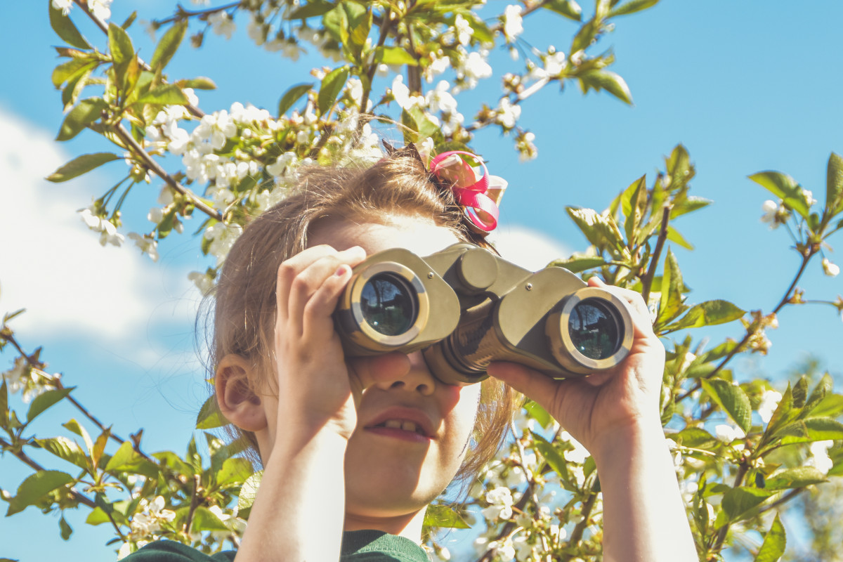How to Spy on Your Competitors Using Social Media