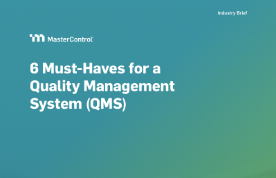 6 Must-Haves for a Quality Management System (QMS)