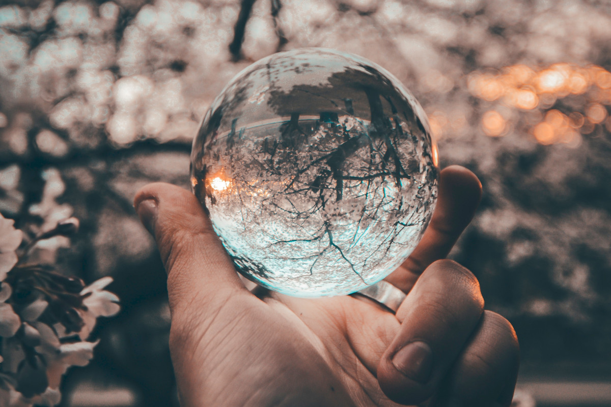How to Use Leading Indicators to Predict the Future