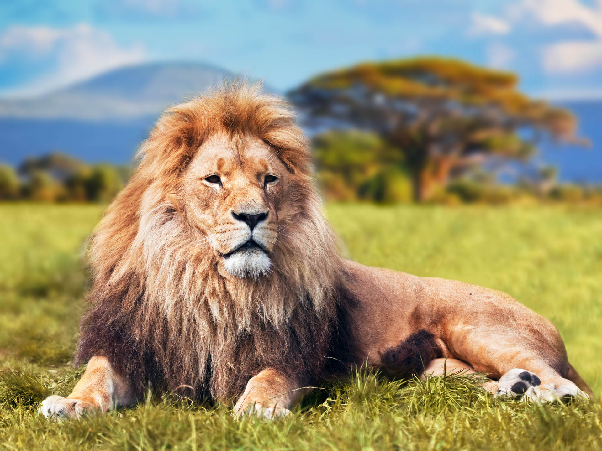 Which Leadership Style Are You? [Quiz]