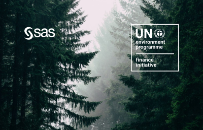 Climate Stress Testing Methodologies for Banks