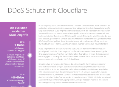 DDoS Schutz durch Volumenbegrenzung